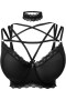  Dameslingerie | Killstar She Bites Lace Bra [B]